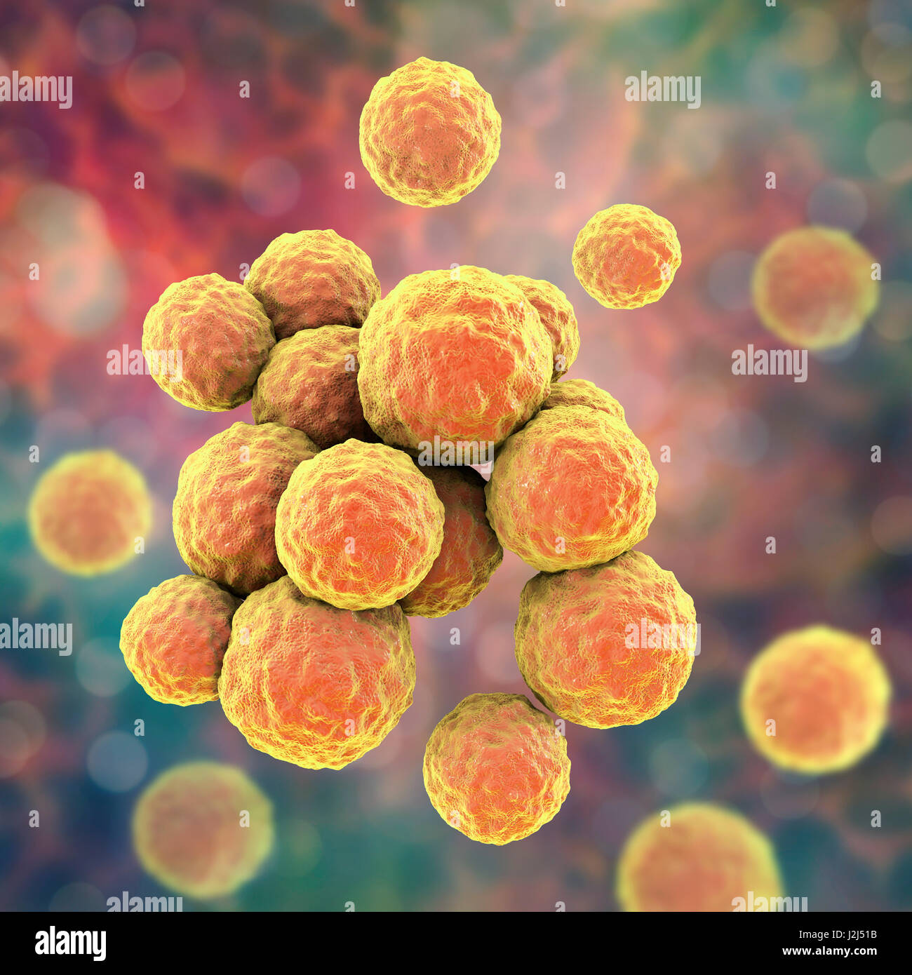 Les bactéries SARM. L'oeuvre de l'ordinateur de Staphylococcus aureus résistant à la méthicilline (SARM) bactéries. Banque D'Images