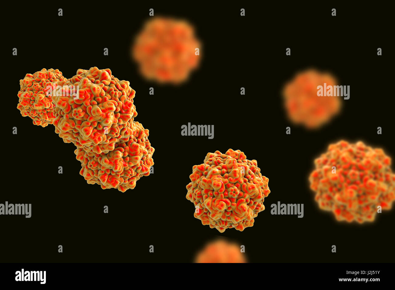 Les particules parvovirus, ordinateur illustration. Le modèle moléculaire montrant la structure de la protéine de capside (extérieur) d'une famille des Parvoviridae Parvovirus (particules). Virus : la plus petite parvoviridés les virus connus et certains des plus enviro Banque D'Images