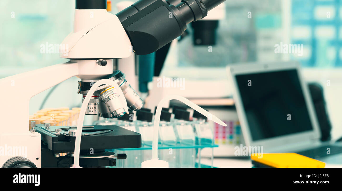 Microscope et matériel scientifique dans le laboratoire. Banque D'Images