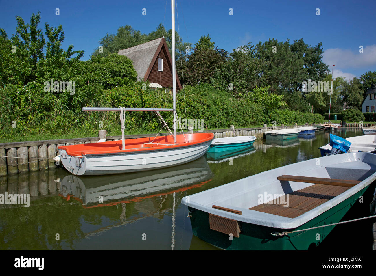 Petit bateau dans le port de roseau le Saaler Bodden dans né sur la péninsule de Darss, Banque D'Images