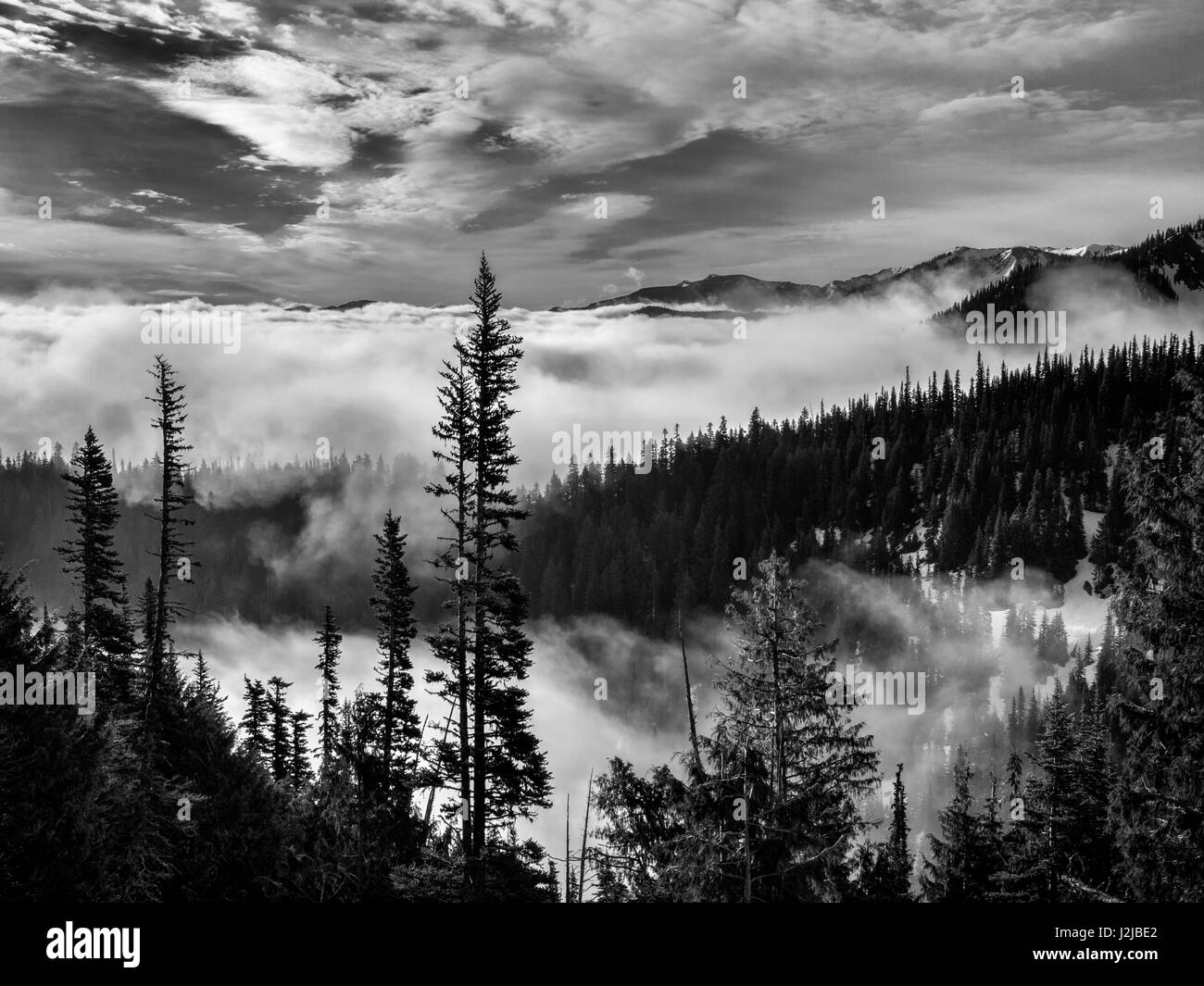 USA, l'État de Washington, l'Olympic National Park. Voir au nord-est de la route vers l'Ouragan Ridge Banque D'Images