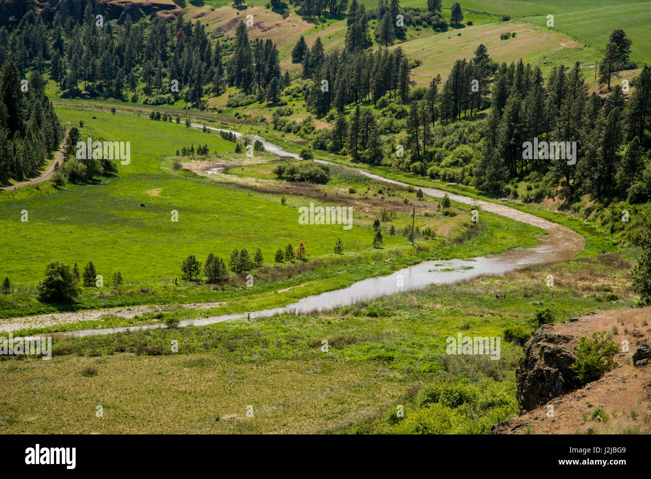 L'État de Washington, USA, Palouse, Whitman Comté, pas d'eau pas de vie, Snake River Expedition, Union Flat Creek (un affluent de la rivière Palouse) Tailles disponibles (grand format) Banque D'Images