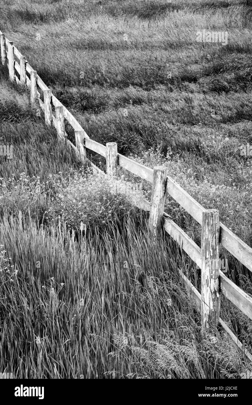 Etats Unis, Washington. Vieille clôture en bois dans le pays palousienne. En tant que crédit : Dennis Flaherty / Jaynes Gallery / DanitaDelimont.com Banque D'Images