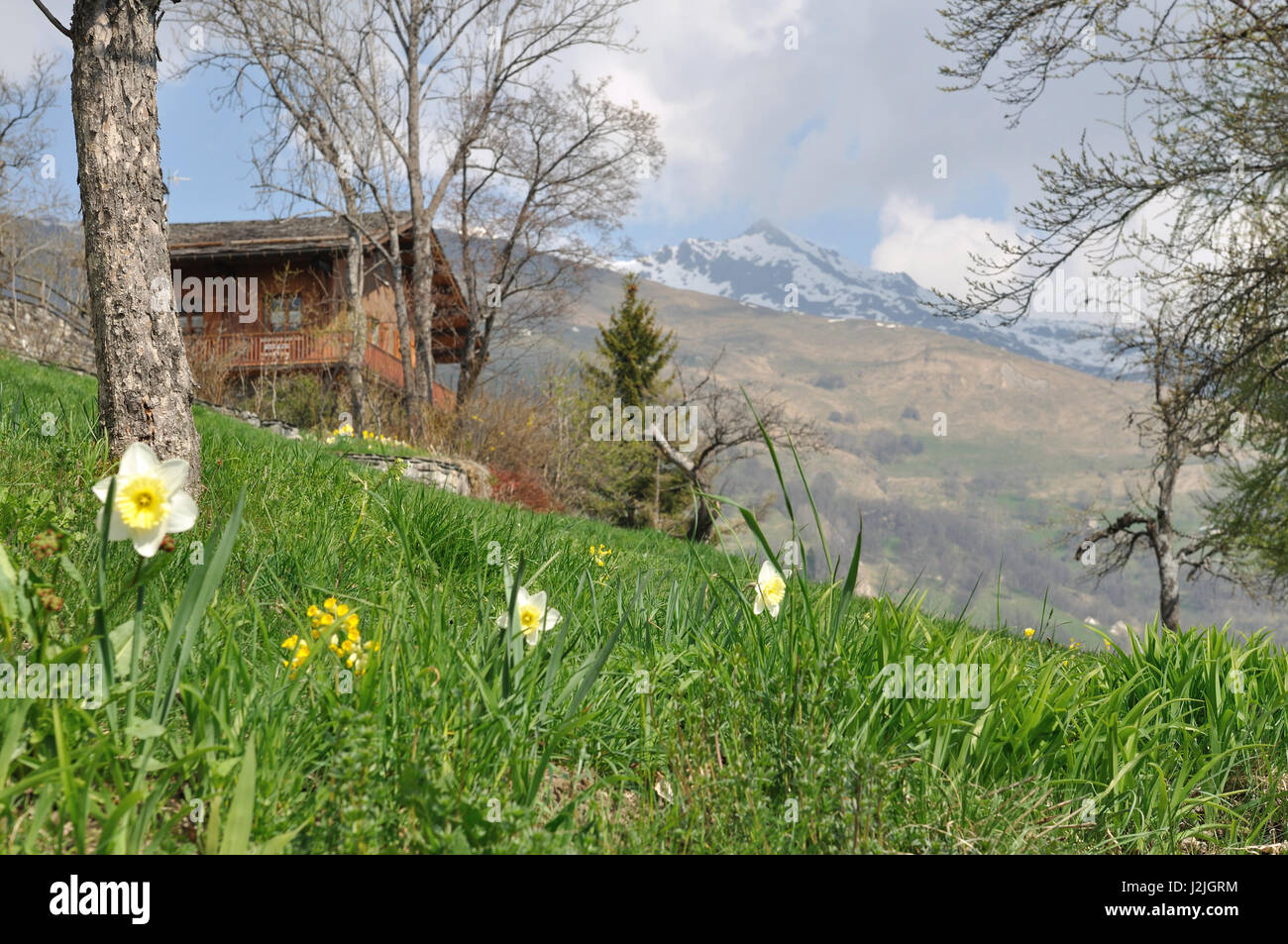 Chalet en bois dans une prairie à côté de mountain Banque D'Images