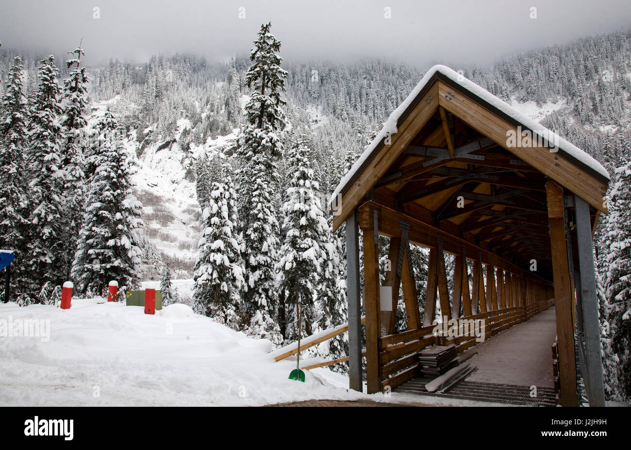 Pont couvert en bois, arbres enneigés, Alpental, Snoqualmie Pass, l'État de Washington Banque D'Images