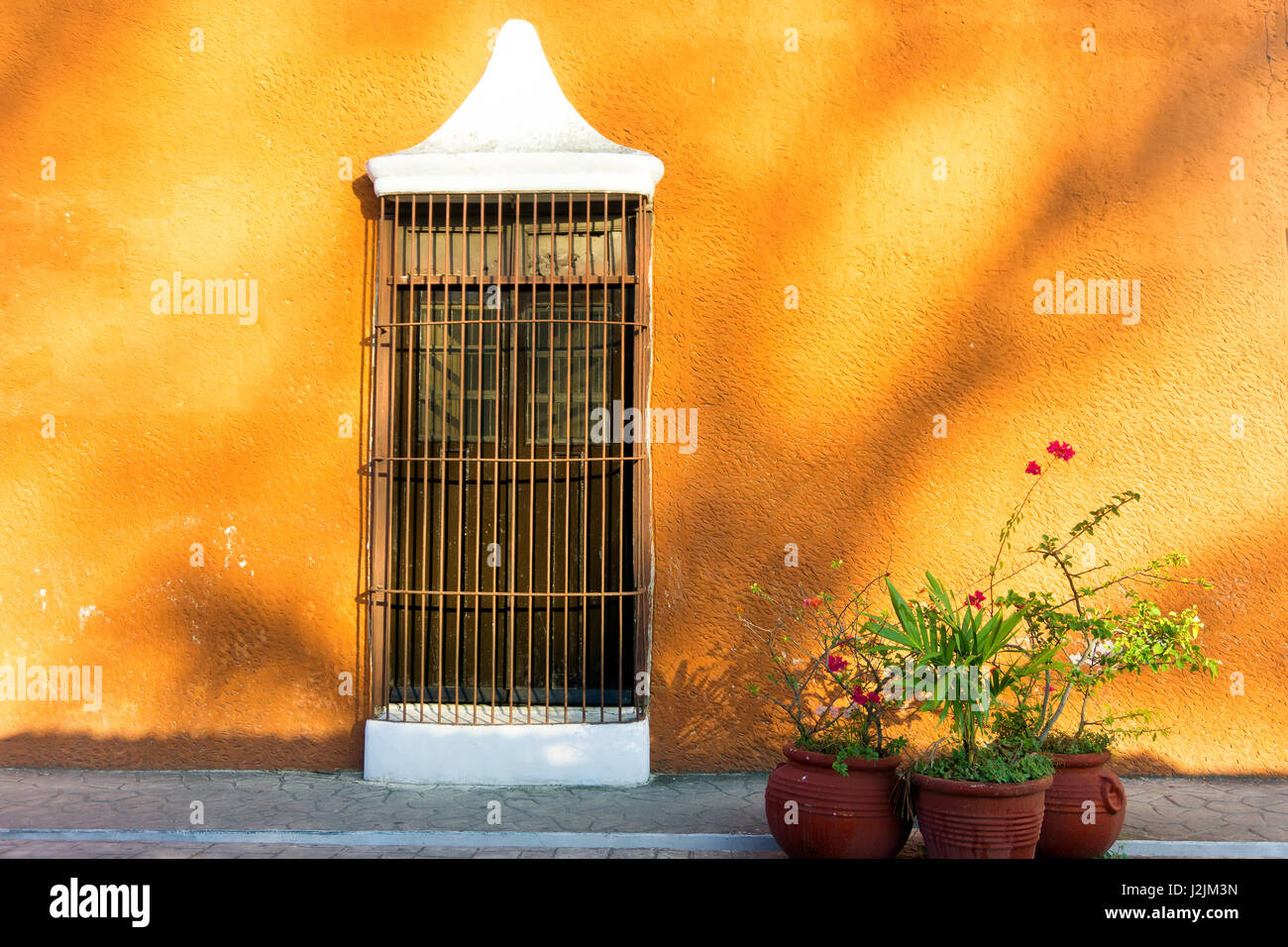 Colonial Orange mur et fenêtre avec trois plantes en pot à Valladolid, Mexique Banque D'Images