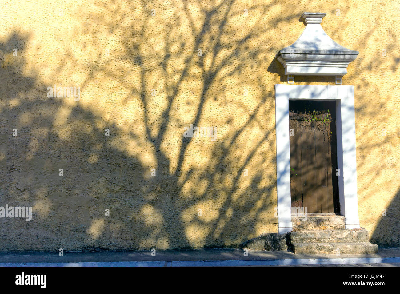 Tree jette une ombre sur un bâtiment colonial à Valladolid, Mexique Banque D'Images
