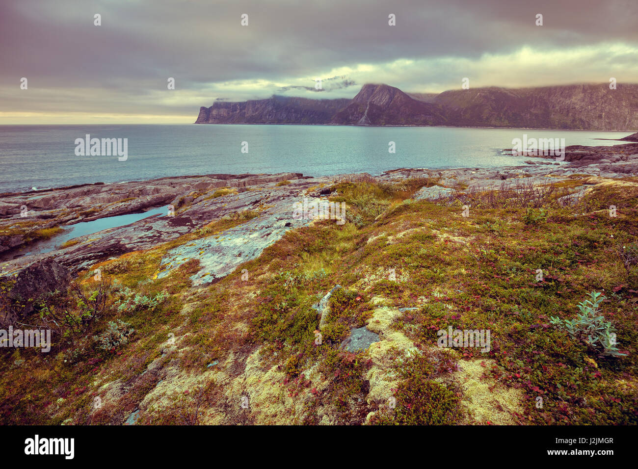 Fjord, plage rocheuse au coucher du soleil, la magie de la nature sauvage de la Norvège. L'île de Senja. Magnifique baie. Banque D'Images