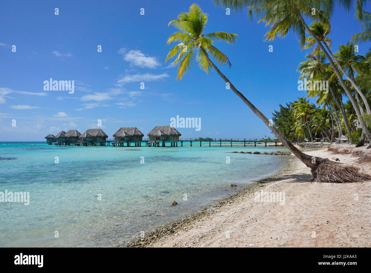 Tropical resort bungalows sur pilotis dans le lagon et plage avec cocotiers, l'atoll de Tikehau, Tuamotu, Polynésie Française, Pacifique sud Banque D'Images