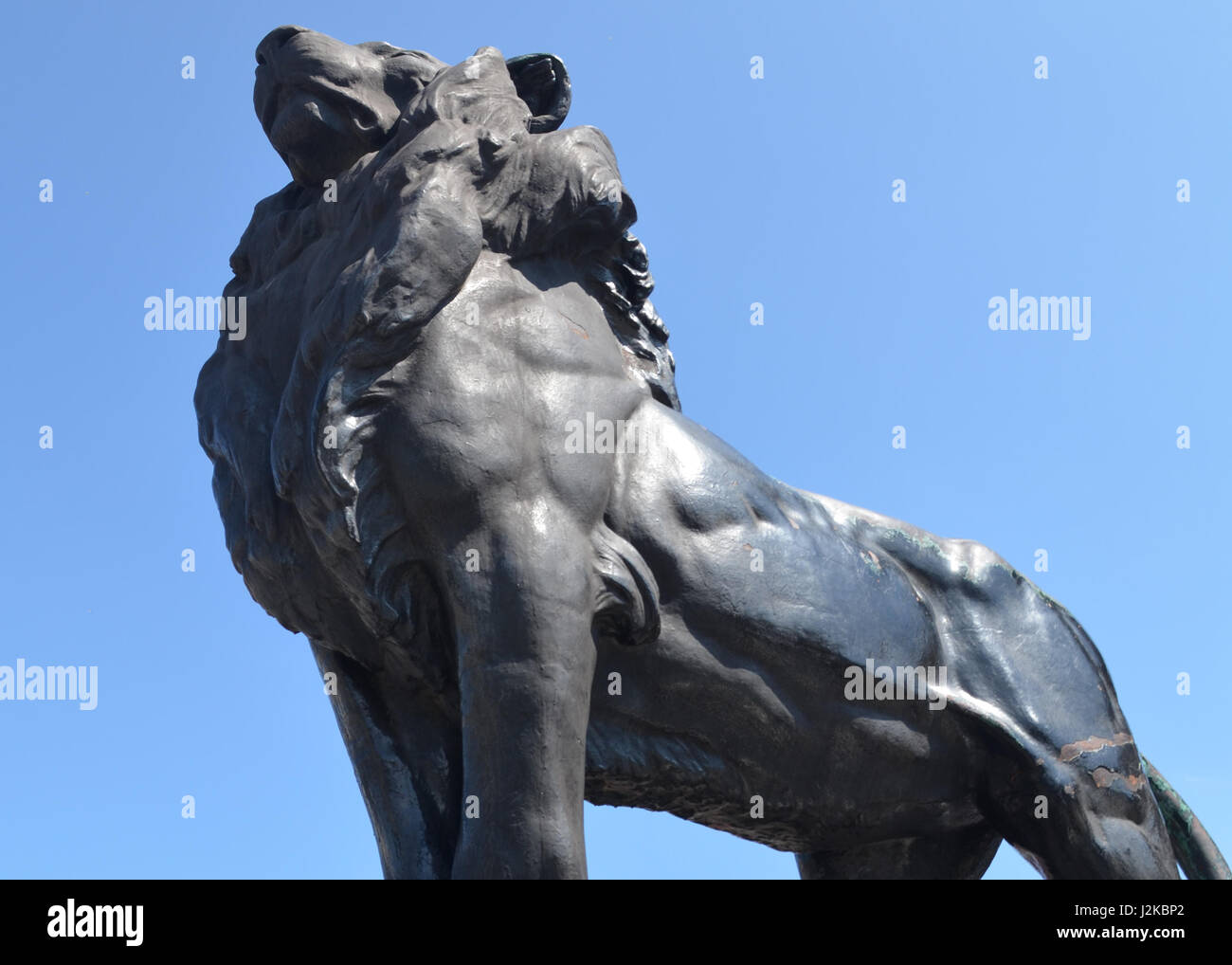Statue de lion mâle Banque D'Images