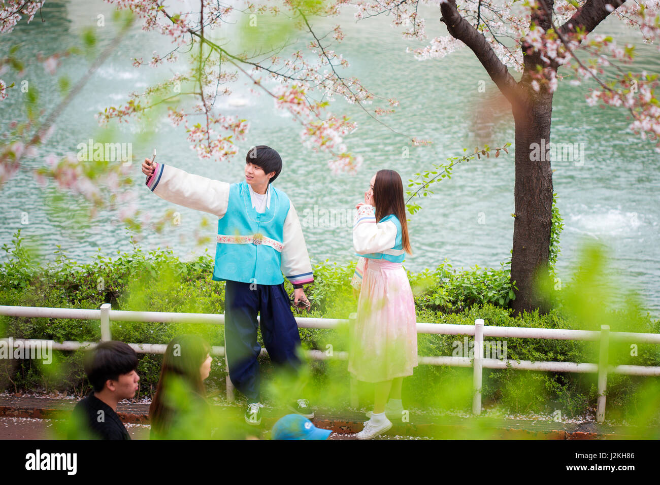 Les personnes bénéficiant de cerisiers en fleurs au printemps à Seokchon Lake Park Banque D'Images