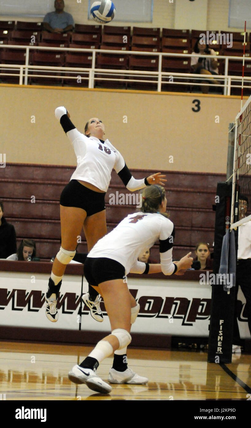 Un joueur de volley-ball de l'Université d'Elon se prépare à spike une balle sur le net pendant un match. Banque D'Images