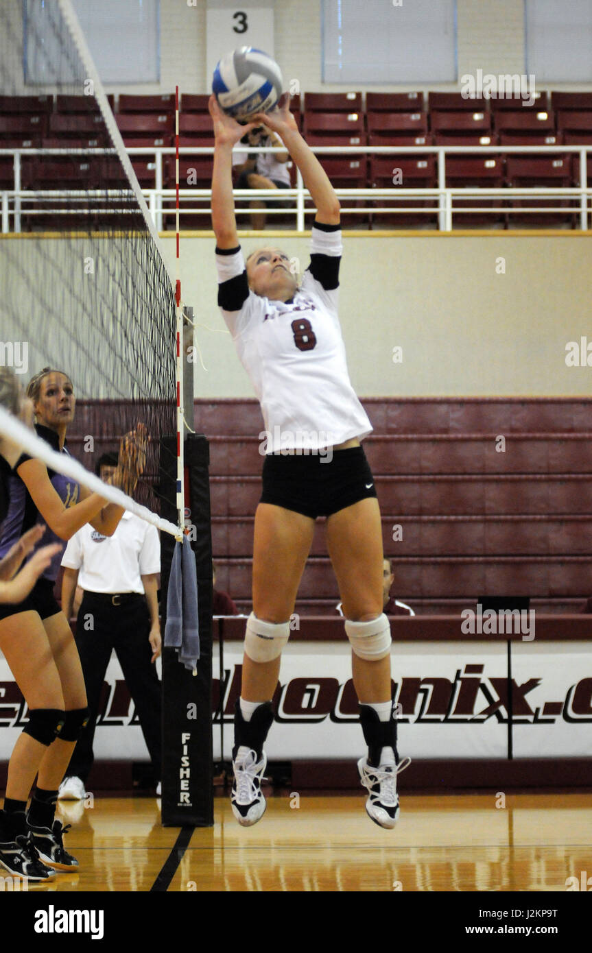 Un joueur de volley-ball de l'Université d'Elon définit une balle jusqu'à un pic. Banque D'Images