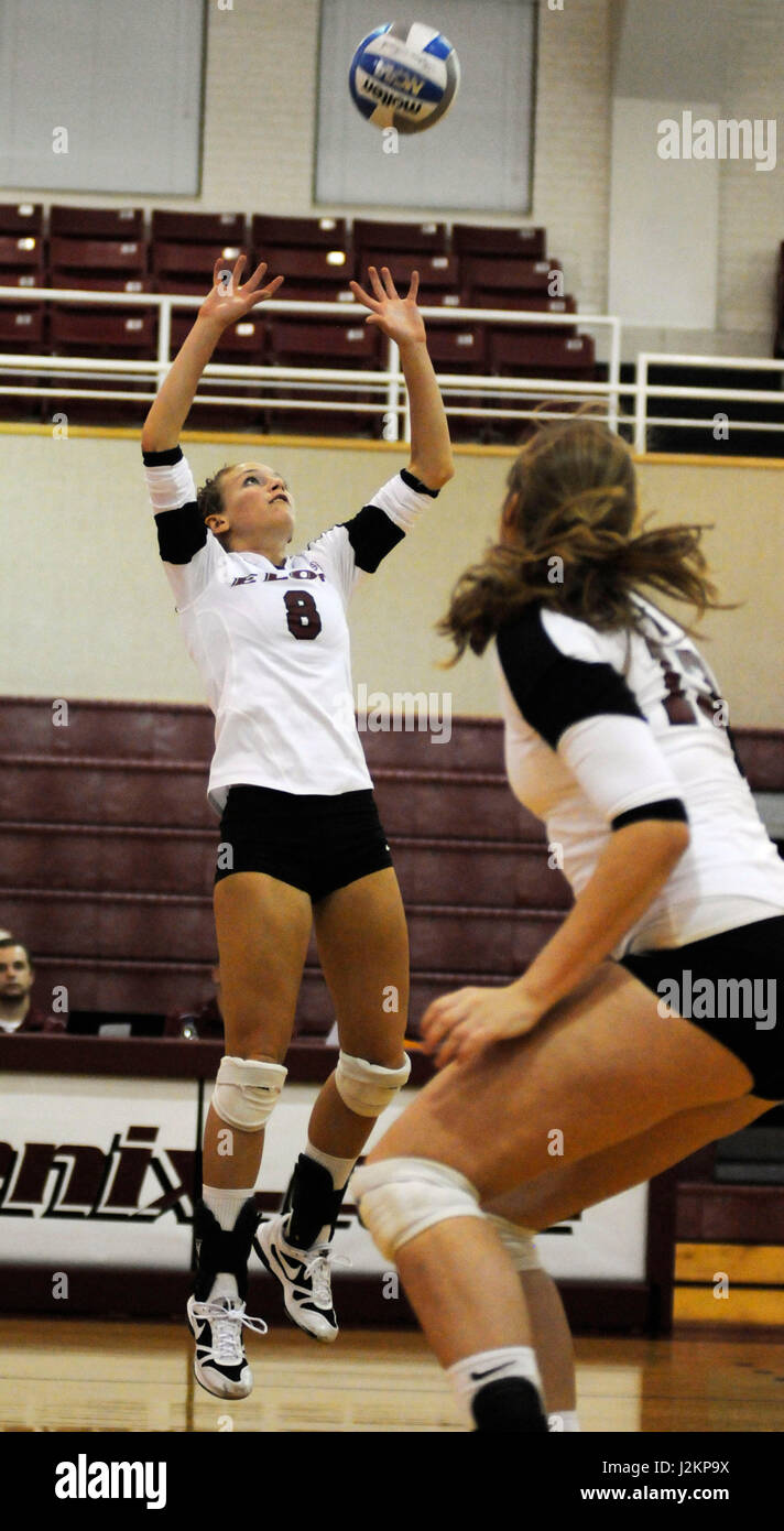 Elon University volley-ball joueur fait un ensemble. Banque D'Images
