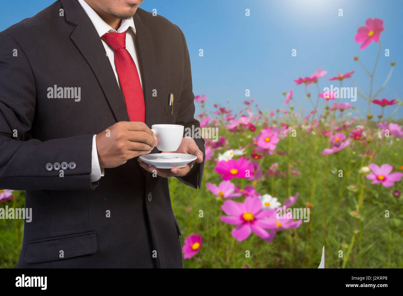 Homme de génie avec casque de sécurité blanc standing in front of flower gardent Banque D'Images