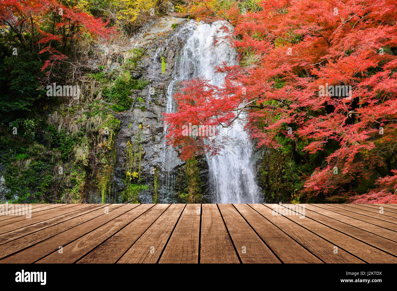 Sur bois belle cascade en automne fond saison Banque D'Images
