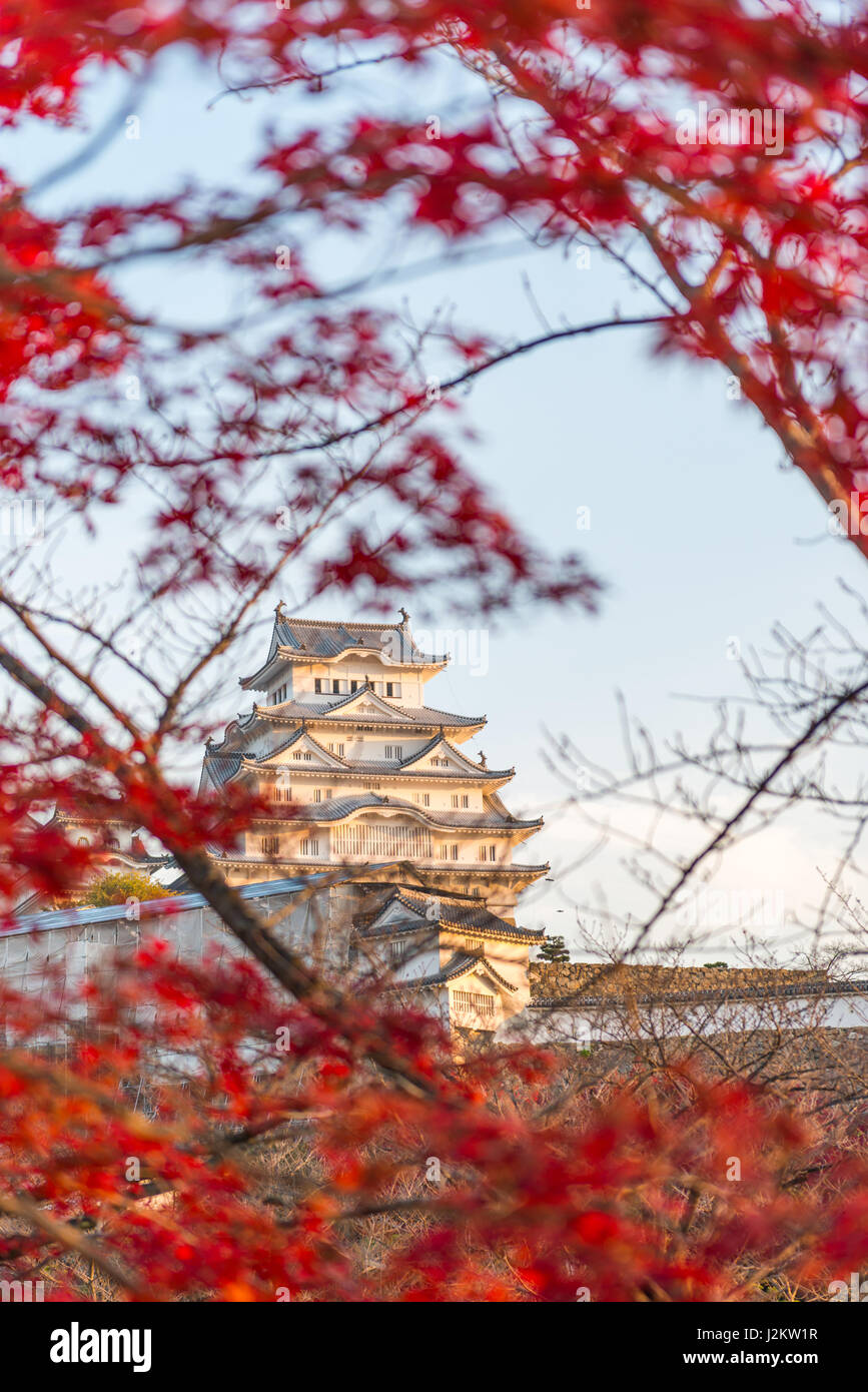 Château de Himeji, aussi appelé château du héron blanc, en automne, au Japon. Banque D'Images