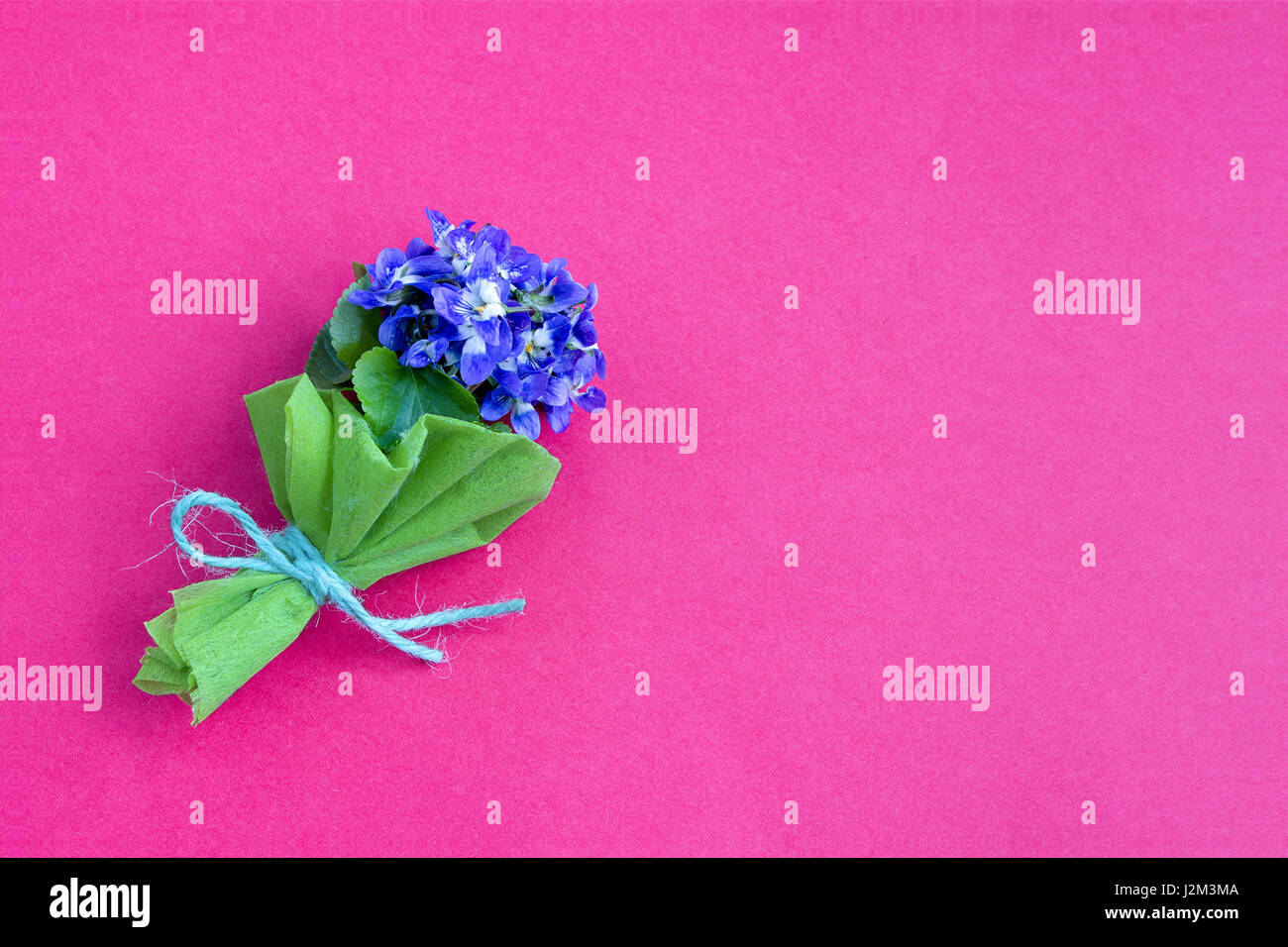 Un bouquet de violettes sur fond rose Banque D'Images