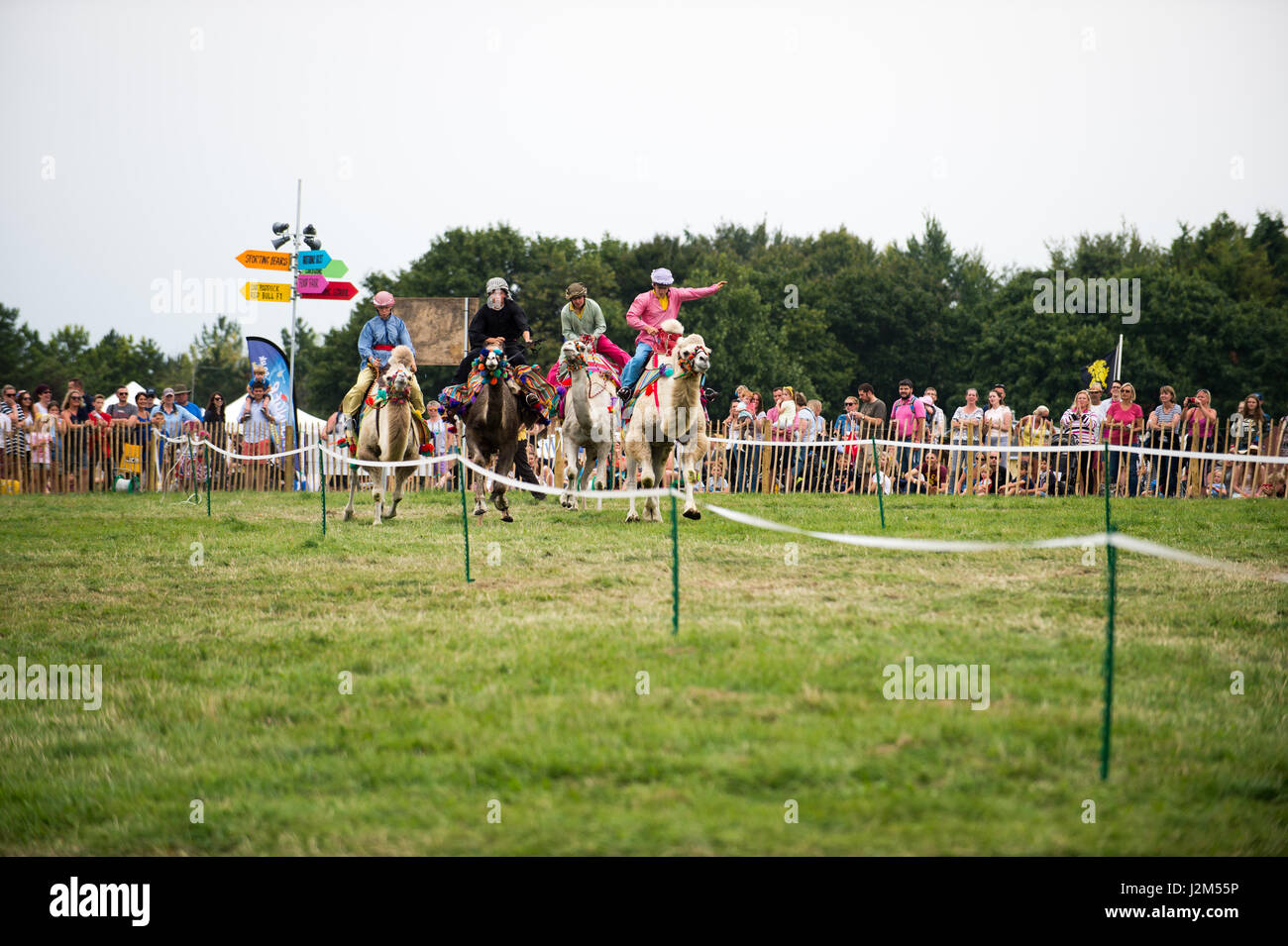 Laverstoke Park Farm, Overton, Basingstoke, Hampshire, Royaume-Uni. 27 août 2016. Les courses de chameaux à Radio 2 breakfast show DJ, Chris Evans Location Fest 2016 - Location du Sud, de l'alimentation, de la famille et de la musique pour enfants de la BBC dans le besoin. © Vous Bailey / Alamy Banque D'Images