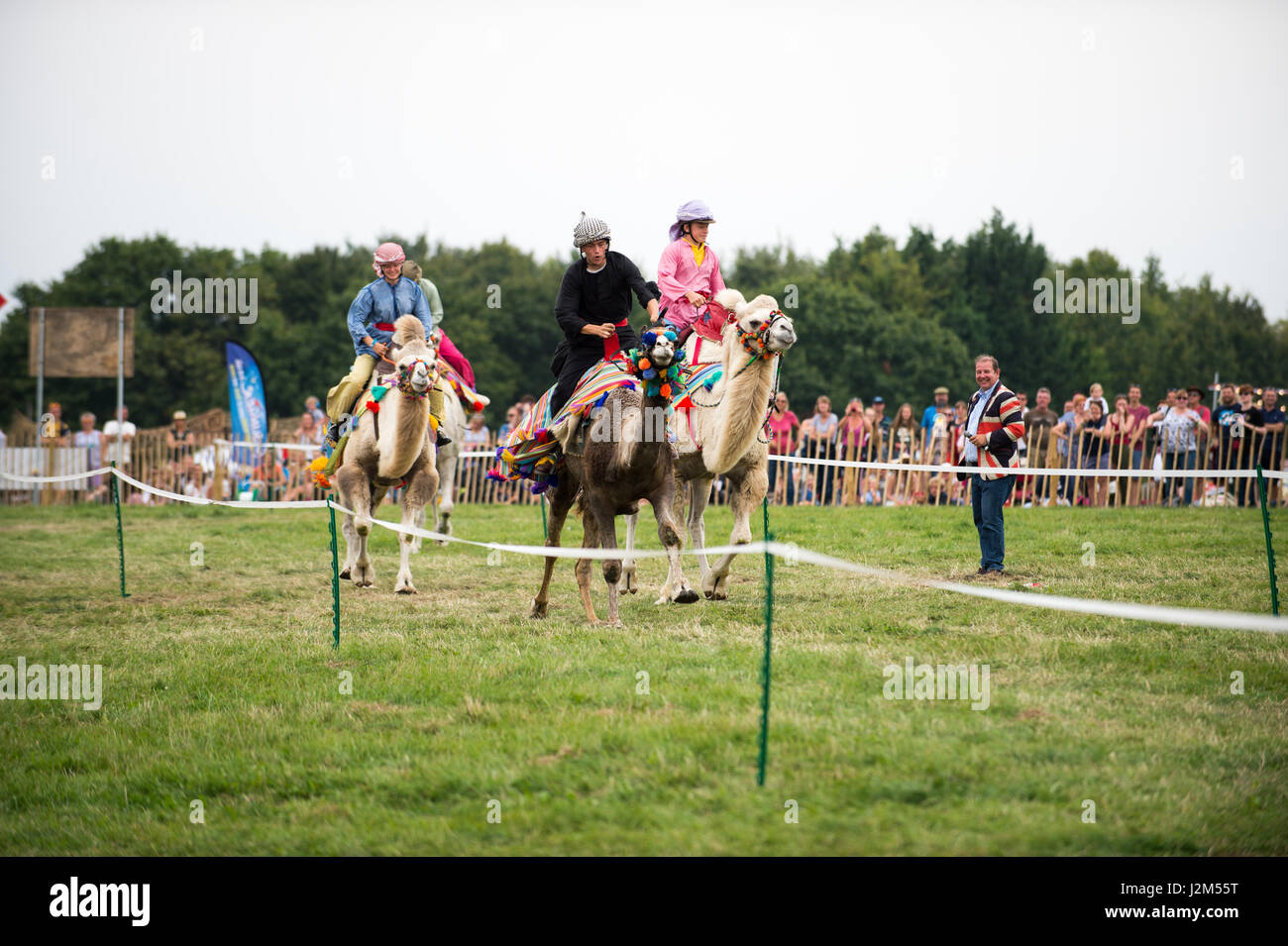 Laverstoke Park Farm, Overton, Basingstoke, Hampshire, Royaume-Uni. 27 août 2016. Les courses de chameaux à Radio 2 breakfast show DJ, Chris Evans Location Fest 2016 - Location du Sud, de l'alimentation, de la famille et de la musique pour enfants de la BBC dans le besoin. © Vous Bailey / Alamy Banque D'Images