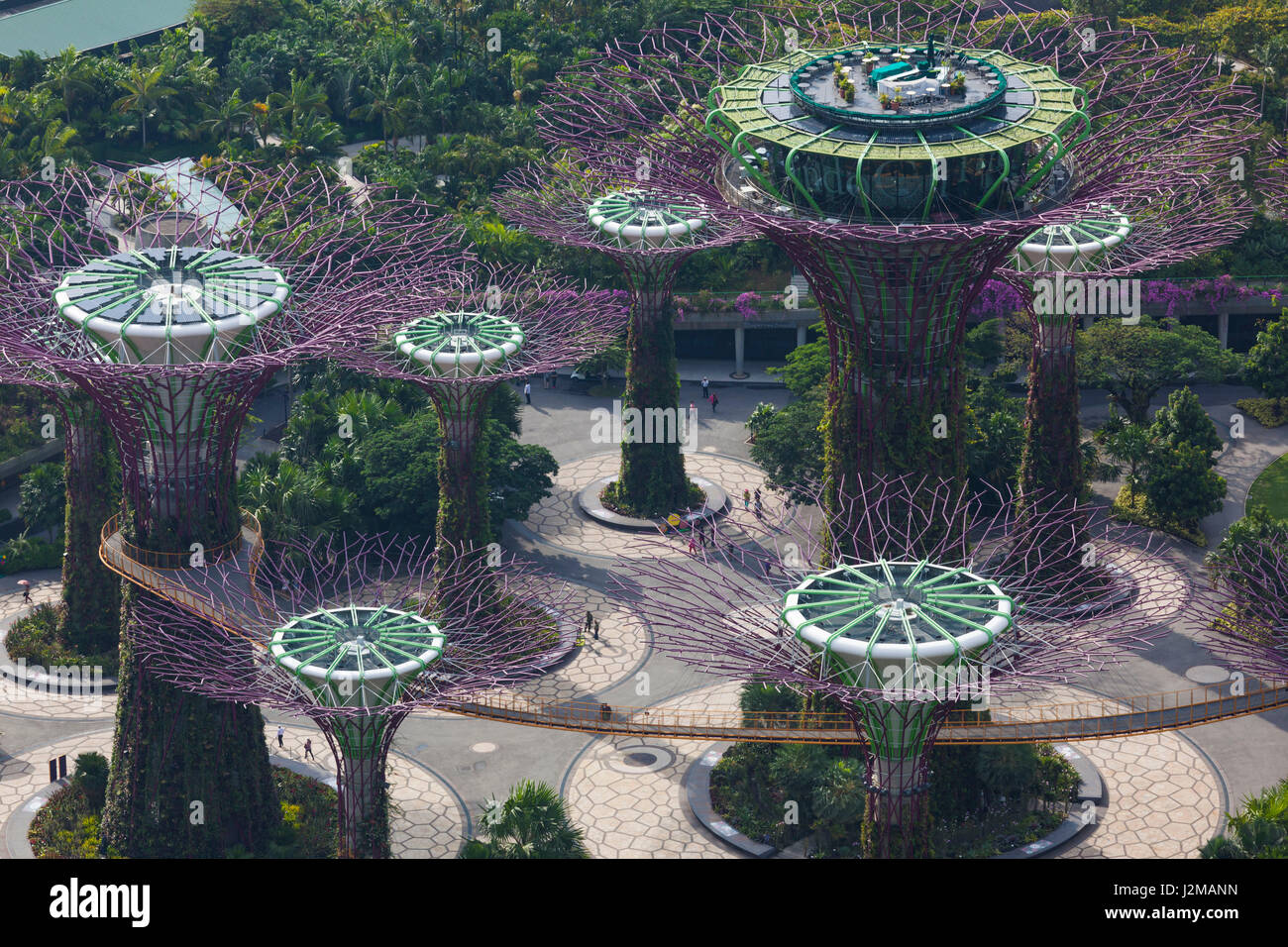 Singapour, augmentation de la vue sur les jardins de la baie, l'établissement Super Tree Grove, Dawn Banque D'Images