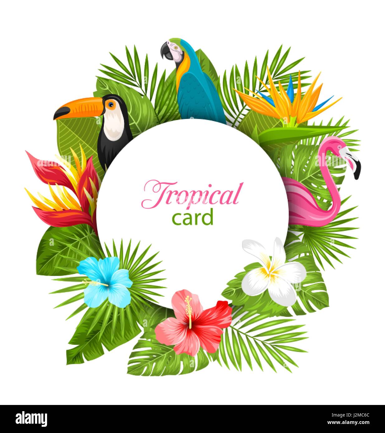 Carte d'été avec des plantes tropicales, Hibiscus, frangipanier, Flamingo, Toucan, perroquet Illustration de Vecteur