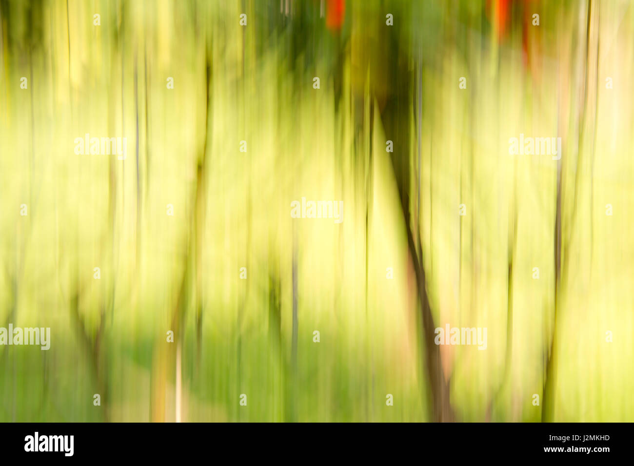 L'Abstraction photographique avec une touche moderne Banque D'Images