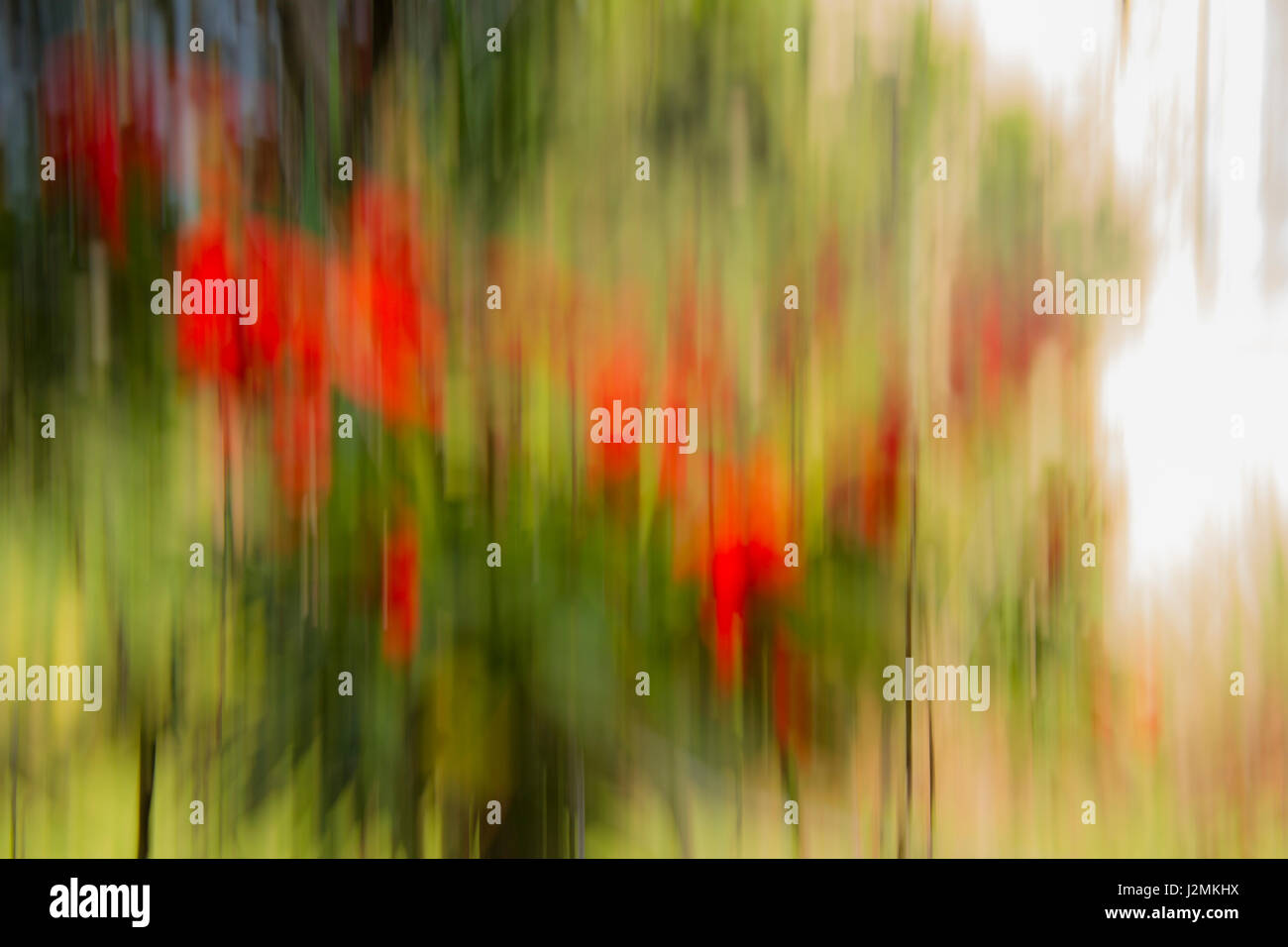 L'Abstraction photographique avec une touche moderne Banque D'Images