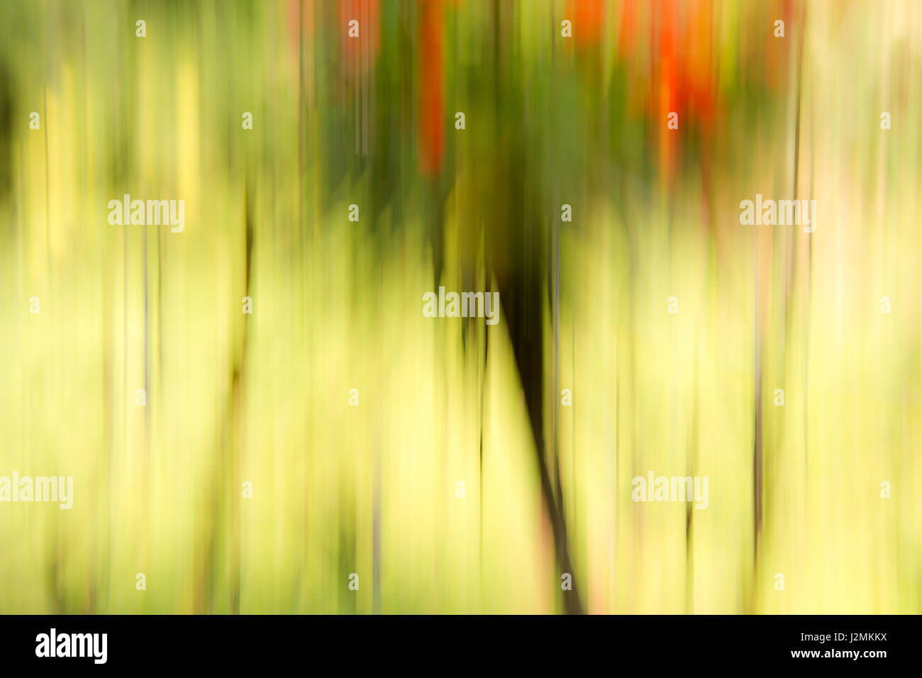 L'Abstraction photographique avec une touche moderne Banque D'Images