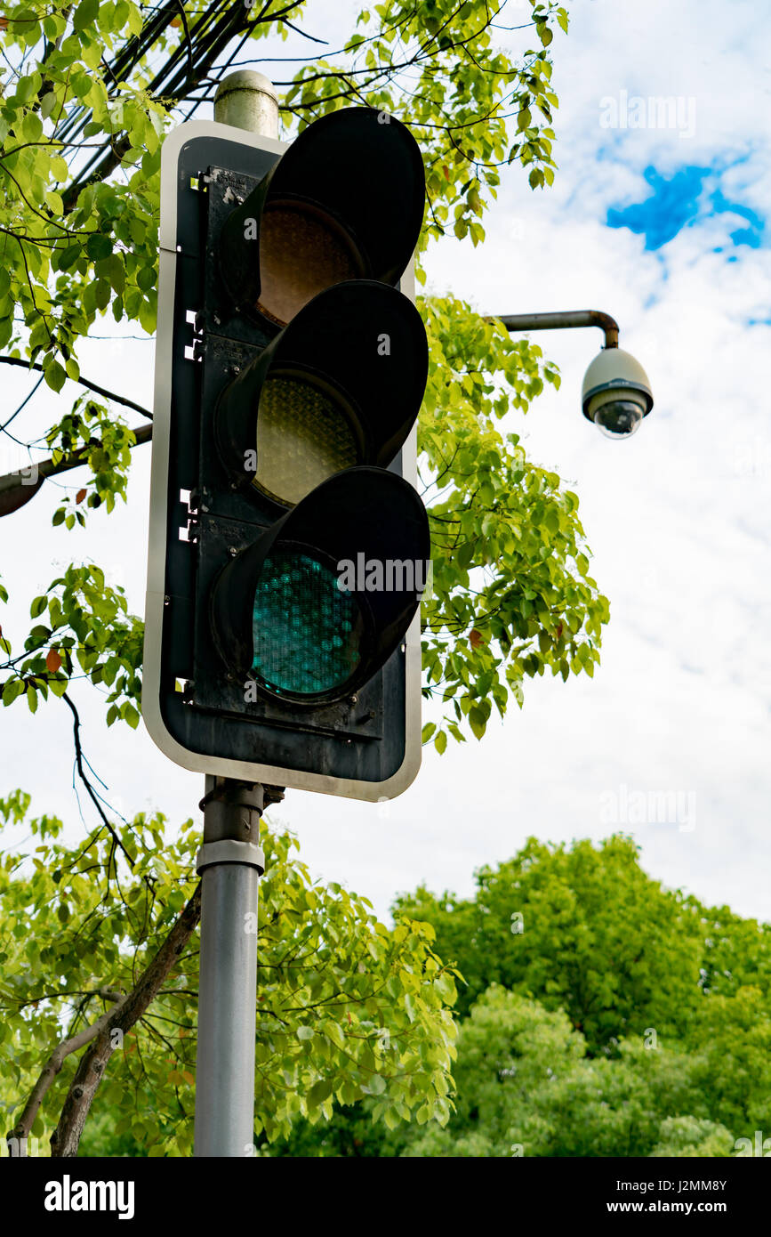 Feu vert du feu de circulation sur le poteau avec l'arbre et ciel bleu Banque D'Images