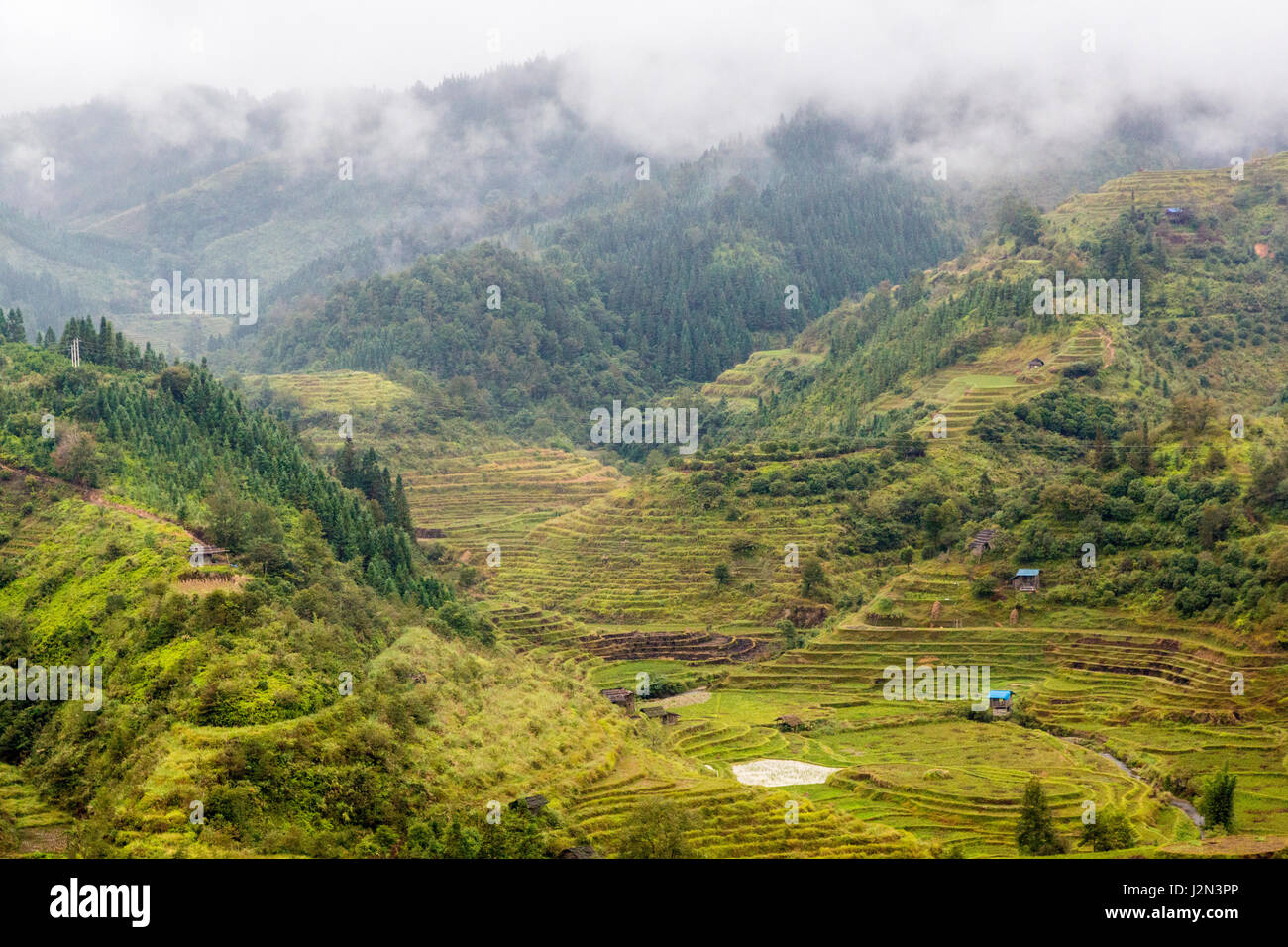 La province du Guizhou, en Chine. L'agriculture en terrasses entre entre Zhaoxing et Kaili, après la récolte de riz. Banque D'Images