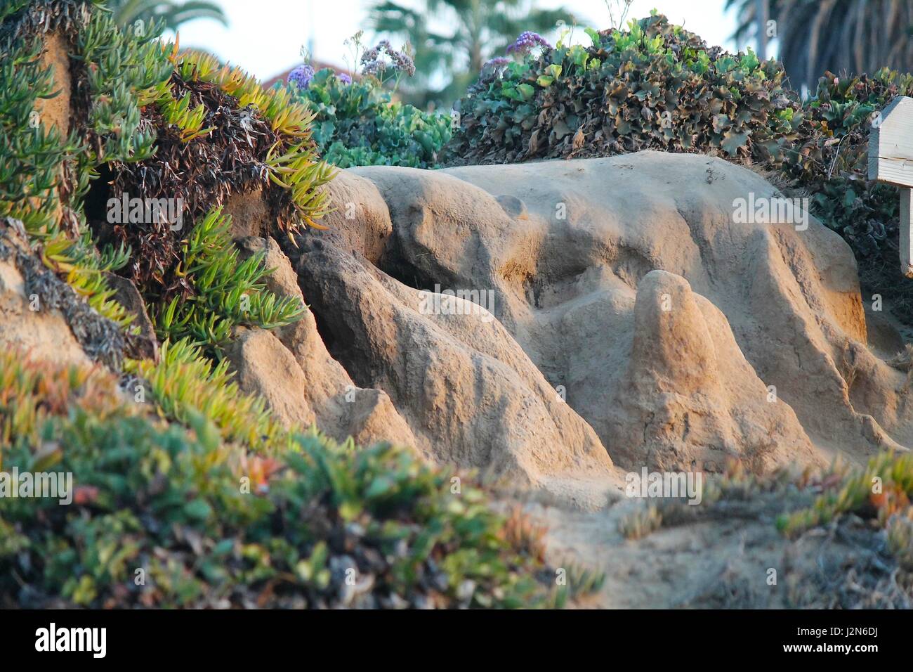 La Jolla Cove au coucher du soleil Banque D'Images
