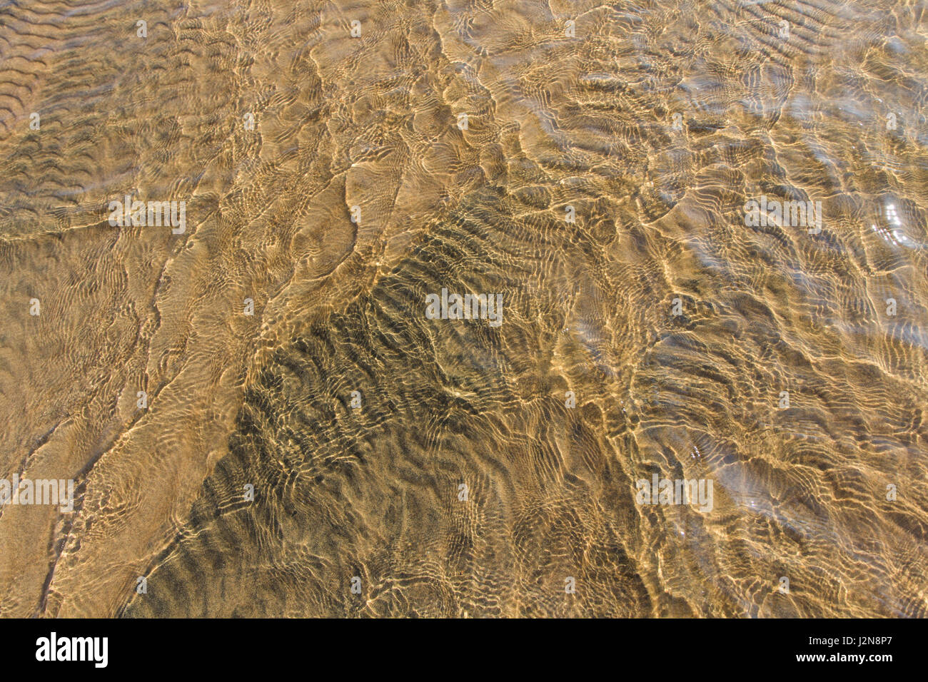 Dans les eaux peu profondes du fleuve Lena Banque D'Images