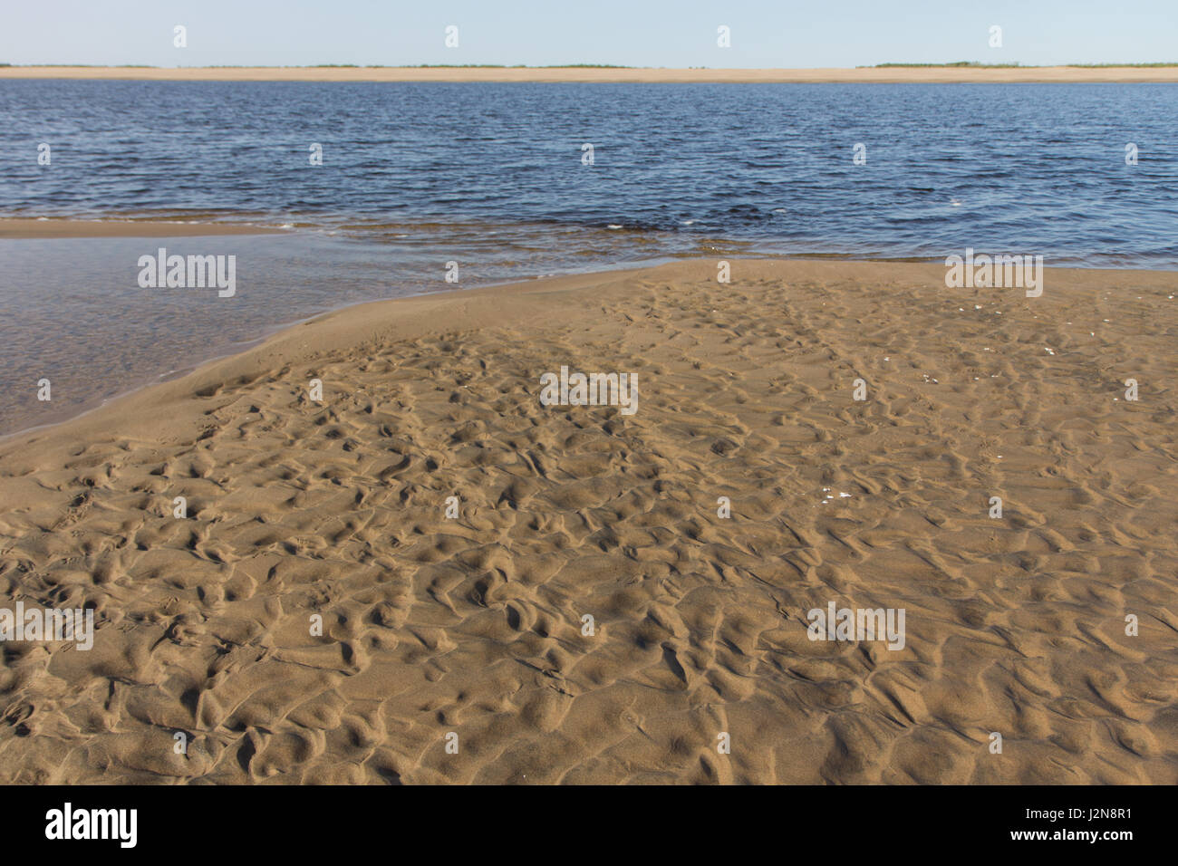 Dans les eaux peu profondes du fleuve Lena Banque D'Images