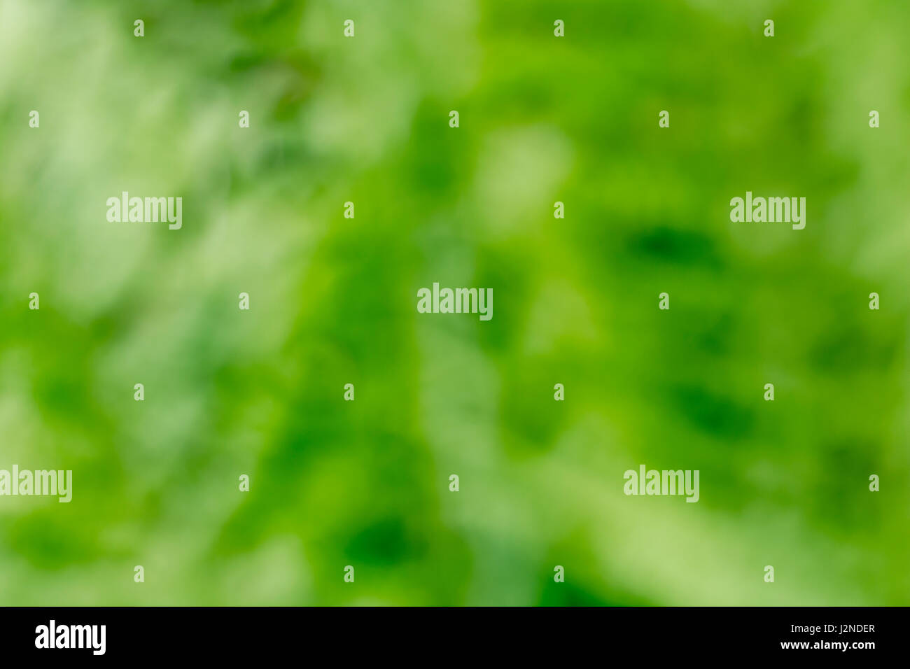 Floues, soft-focus, vert formes abstraites organiques comme arrière-plan, papier peint ou de texture, ou abstrait. Troubles de feuilles vertes. Banque D'Images