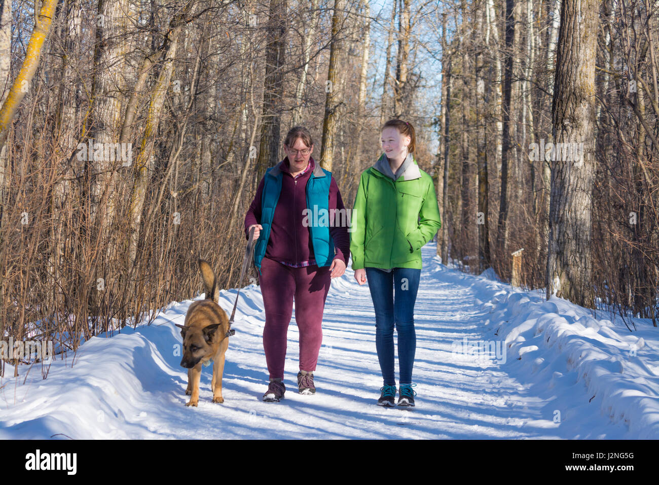 Une mère et sa fille marcher leur chien sur une journée d'hiver ensoleillée. Banque D'Images