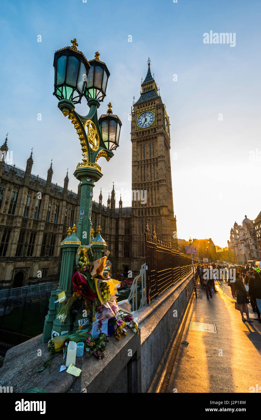 Big Ben et fleurs commémorant l'attentat terroriste contre le pont de Westminster, rétroéclairé, lumière du soir, City of Westminster, London Banque D'Images