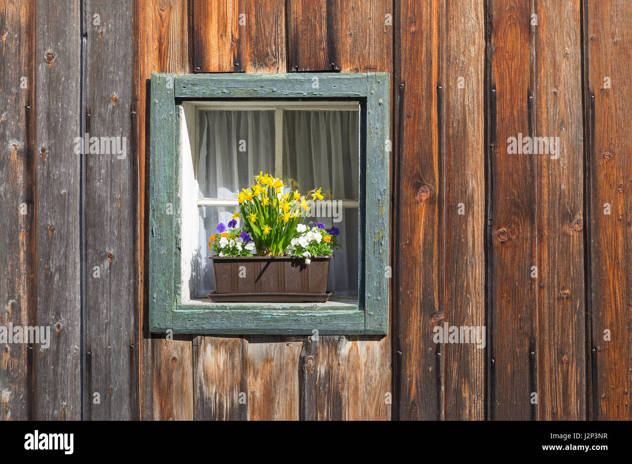 Boîte en bois, fenêtre d'une maison en bois rustique avec pot de fleur sur une journée ensoleillée Banque D'Images