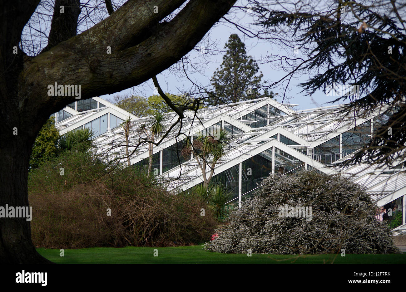 Princess of Wales conservatory, Kew Gardens, Londres, Angleterre Banque D'Images