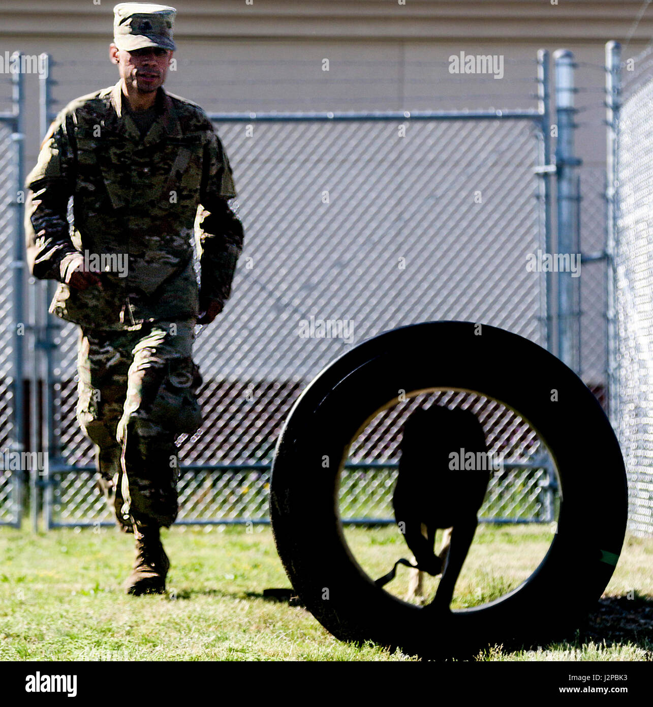 Un maître-chien militaire avec le 550e Détachement de chien de travail militaire, 16e Brigade de police militaire (Airborne), et son chien de travail militaire quotidienne pratique formation d'obéissance le 12 avril 2017 à Fort Bragg, N.C. En parallèle à une remise en forme physique quotidienne du soldat, militaire de formation chiens de travail physique et mentale, la pratique des exercices avec leur soldat affecté chaque jour. (U.S. Photo de l'armée par la FPC. Hubert D. Delany III/22e Détachement des affaires publiques mobiles) Banque D'Images