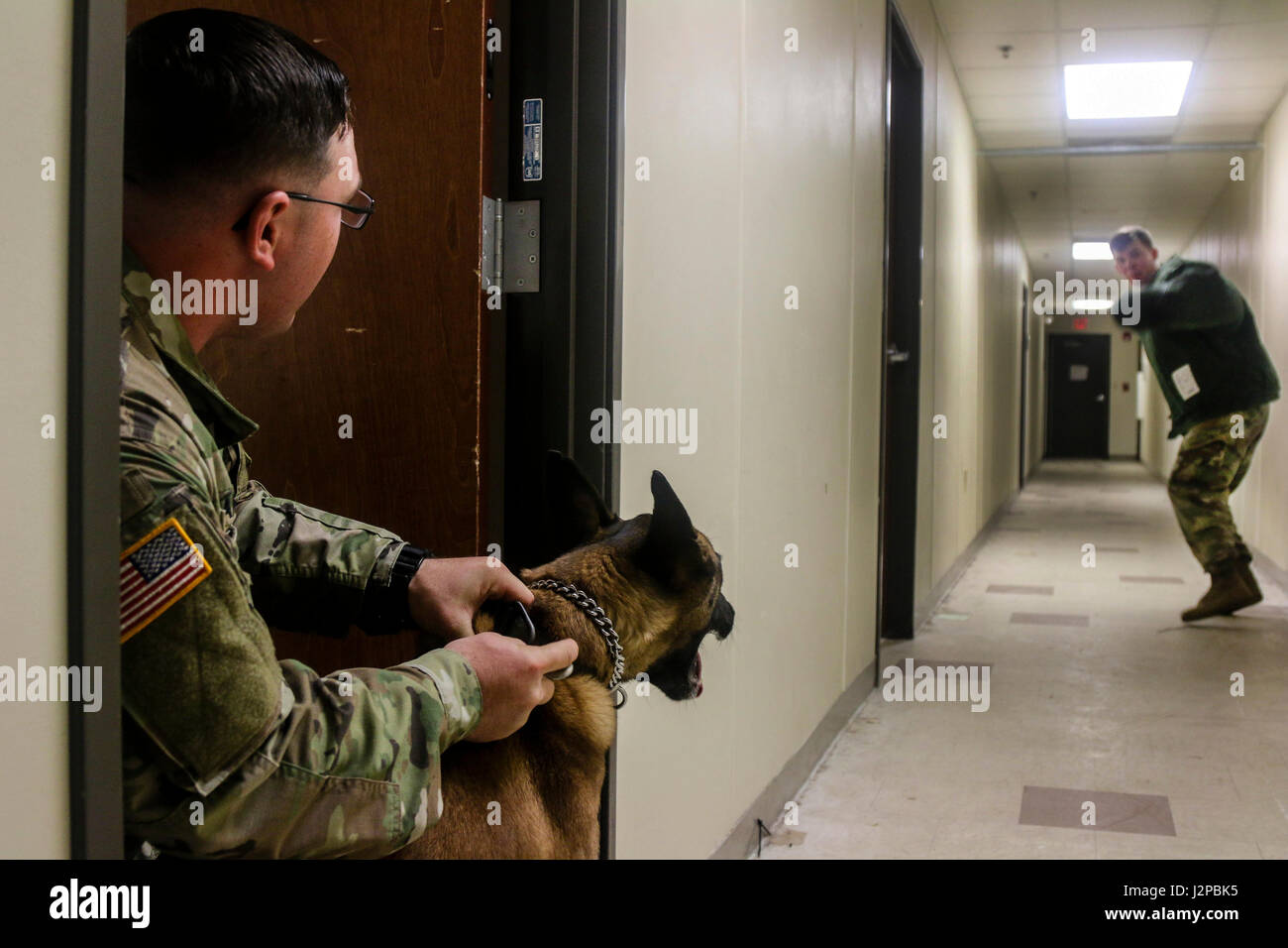 Le maître-chien militaire avec le 550e Détachement de chien de travail militaire, 16e Brigade de police militaire (Airborne), la pratique de la formation de l'agression contrôlée le 12 avril 2017 à Fort Bragg, N.C. L'agression contrôlée de la formation est destiné à souligner un chien de travail militaires sont capables de respecter les commandes complexes dans des environnements stressants. (U.S. Photo de l'armée par la FPC. Hubert D. Delany III/22e Détachement des affaires publiques mobiles) Banque D'Images