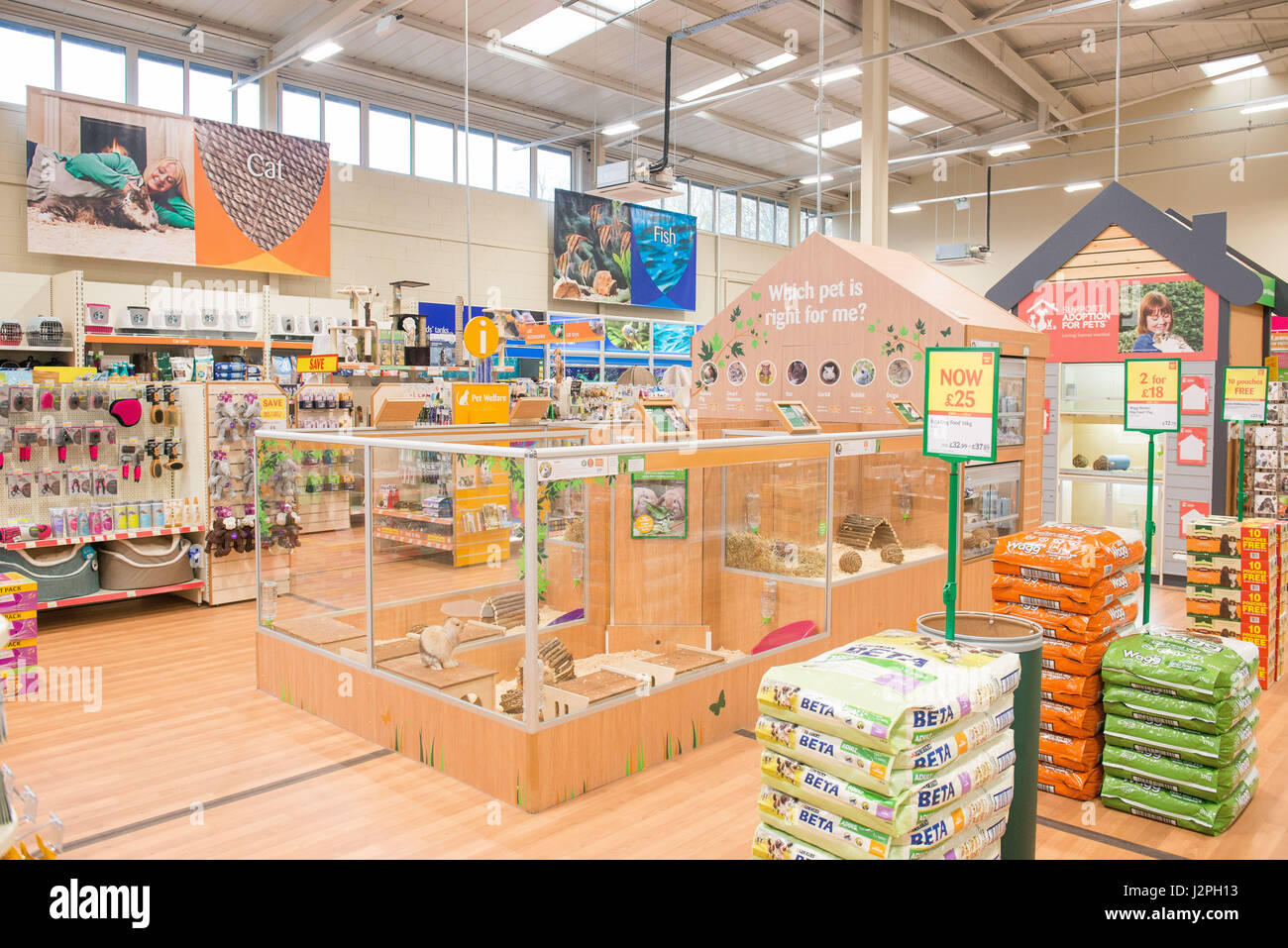 Photo: Animaux domestiques à la maison ouverture du magasin Pollokshaws Banque D'Images
