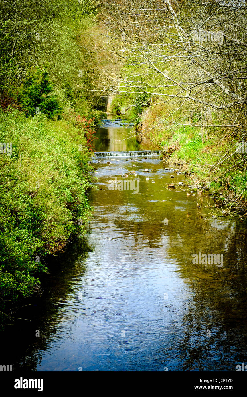 L'Lyne de l'eau dans le village de West Linton, Scottish Borders Banque D'Images