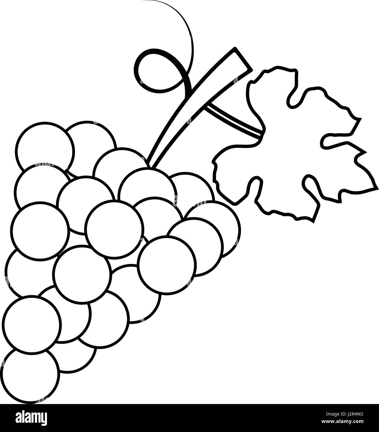 Grappe de raisins avec feuille télévision icône pour les applications et sites web de l'alimentation Illustration de Vecteur