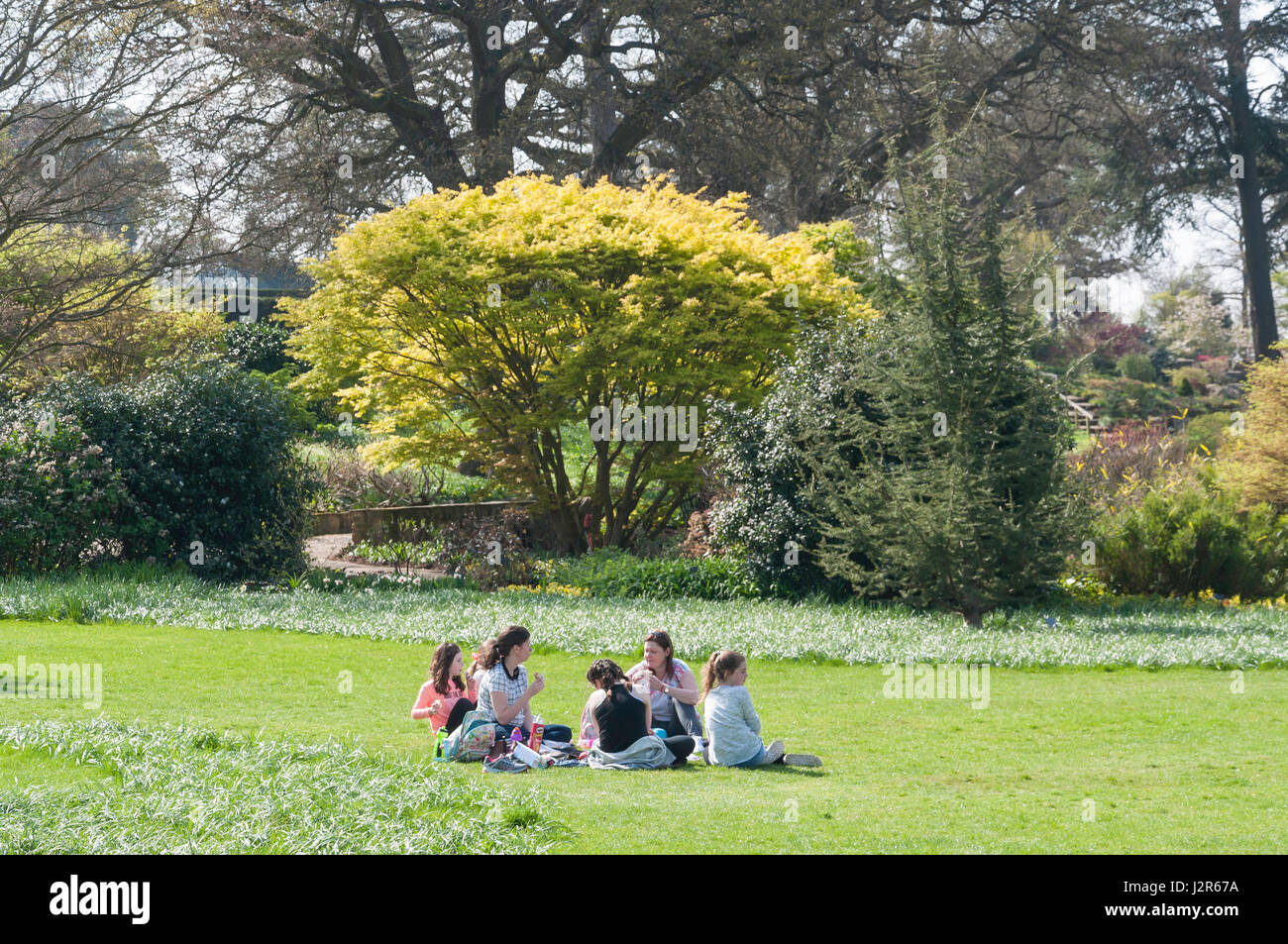 Pique-nique en famille dans la Royal Horticultural Society's garden à Wisley, Wisley, Surrey, Angleterre, Royaume-Uni Banque D'Images