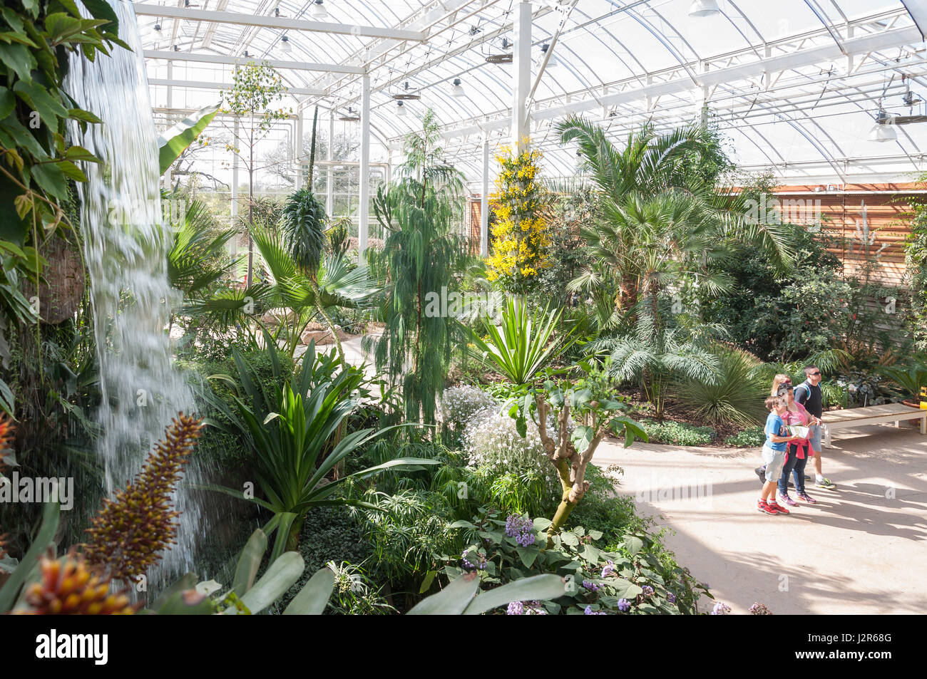 La serre à la Royal Horticultural Society's garden à Wisley, Wisley, Surrey, Angleterre, Royaume-Uni Banque D'Images