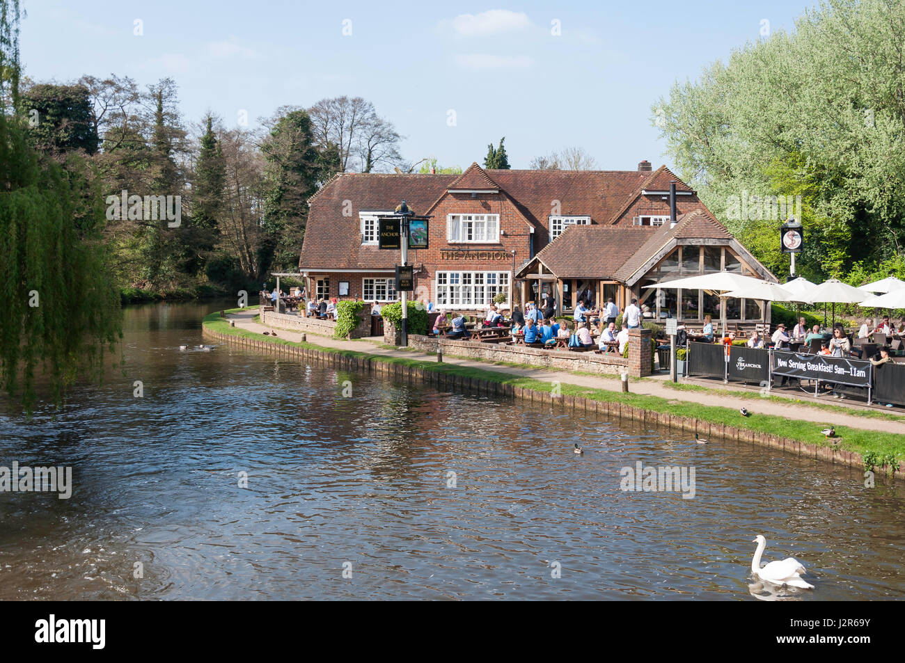 L'Anchor Hotel, Pyrford Lock, Pyrford, Surrey, Angleterre, Royaume-Uni Banque D'Images