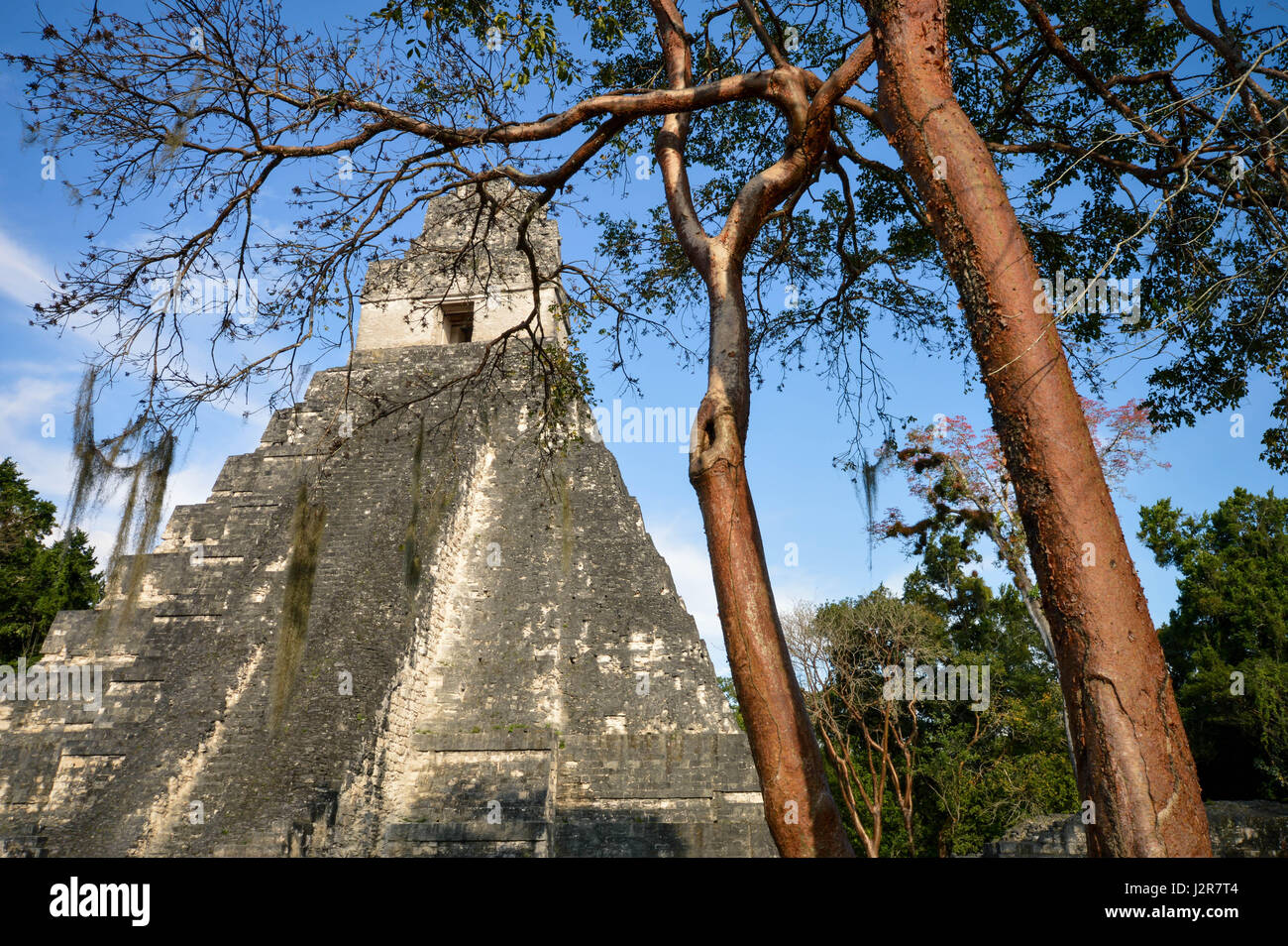 Je temple du site archéologique maya au parc national de Tikal, Guatemala Amérique centrale. Banque D'Images