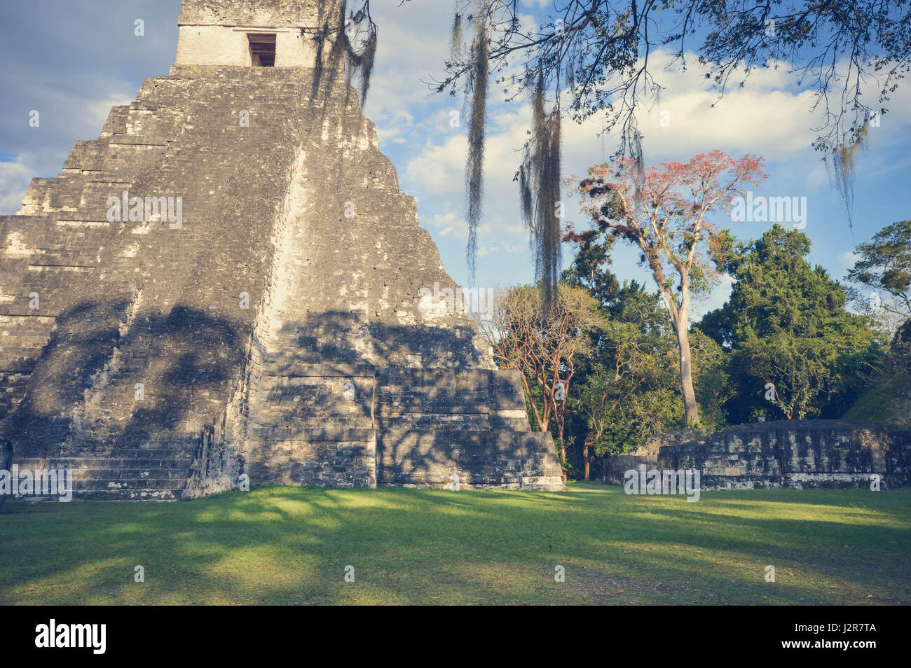 Je temple du site archéologique maya au parc national de Tikal, guatemala. L'Amérique centrale. matte filter Banque D'Images