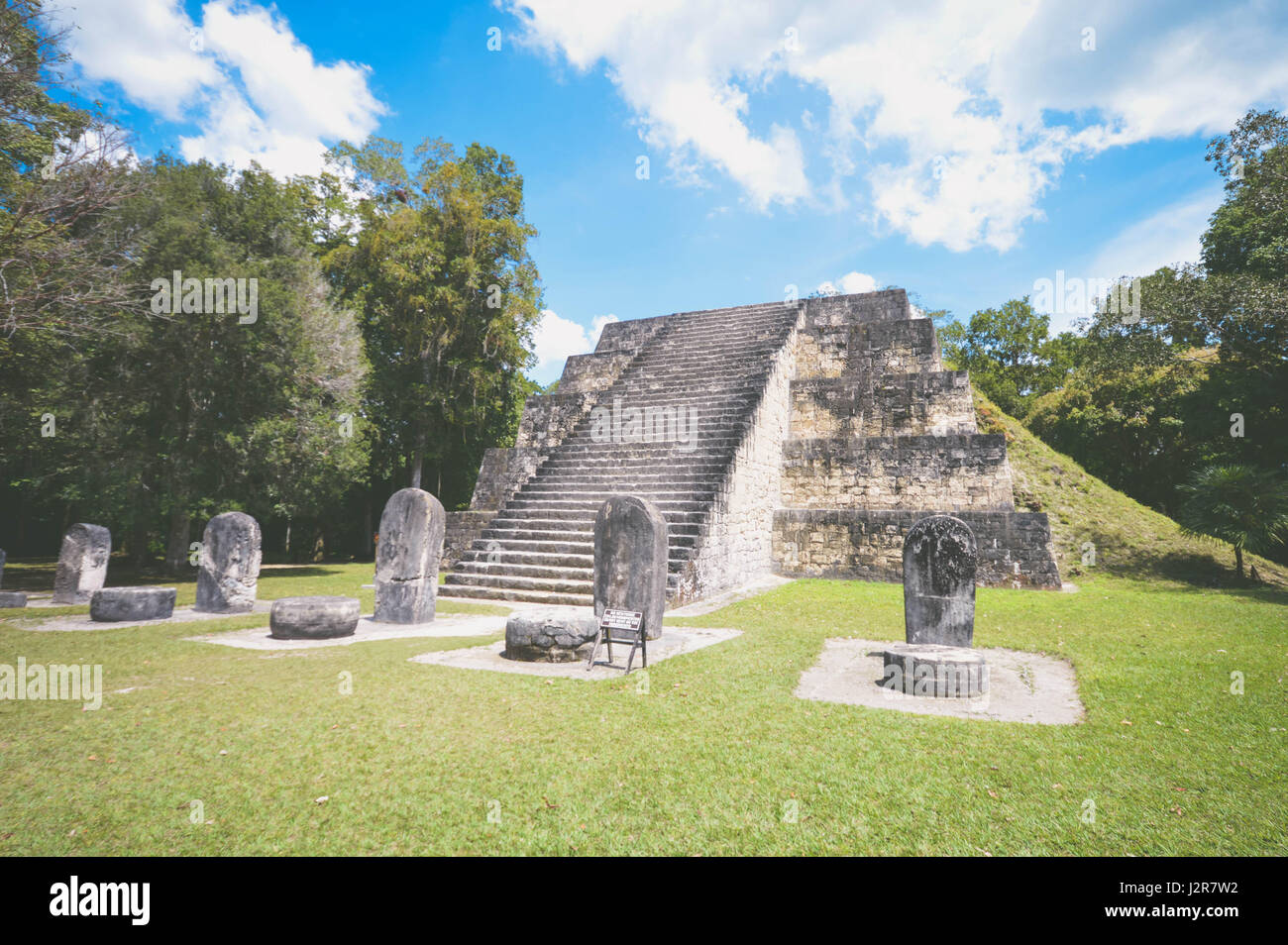 L'une des pyramides du complexe q et de nombreux stellae dans le parc national de Tikal et site archéologique, guatemala. L'Amérique centrale. matte filte Banque D'Images